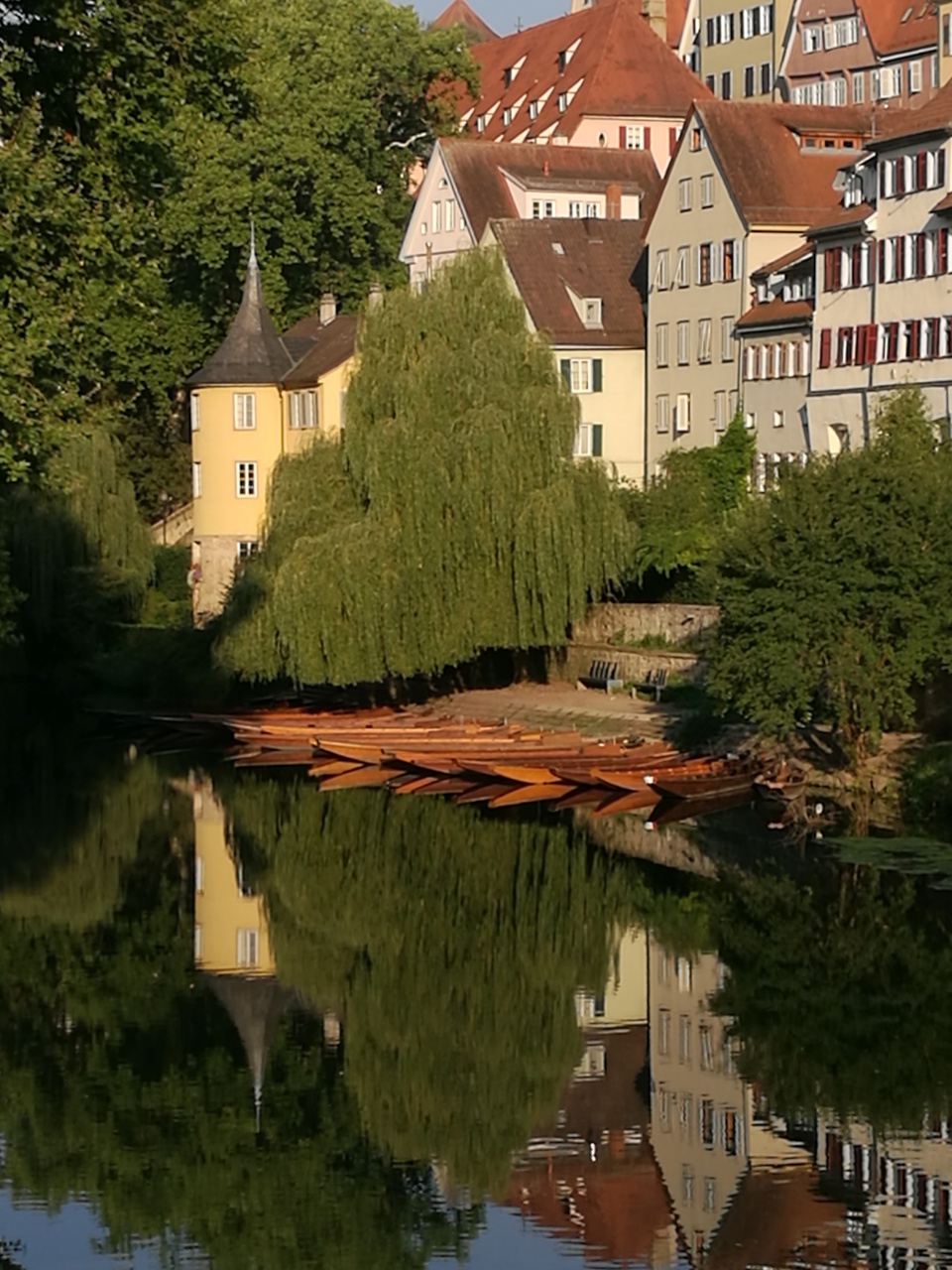 Stocherkahn auf Neckar