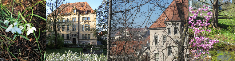 Frühling